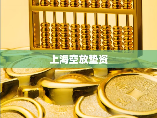 上海空放垫资