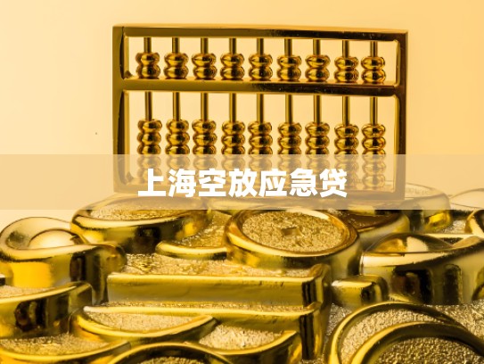 上海空放应急贷