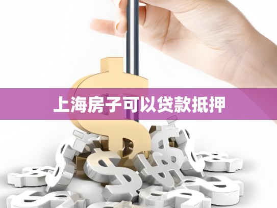 上海房子可以贷款抵押