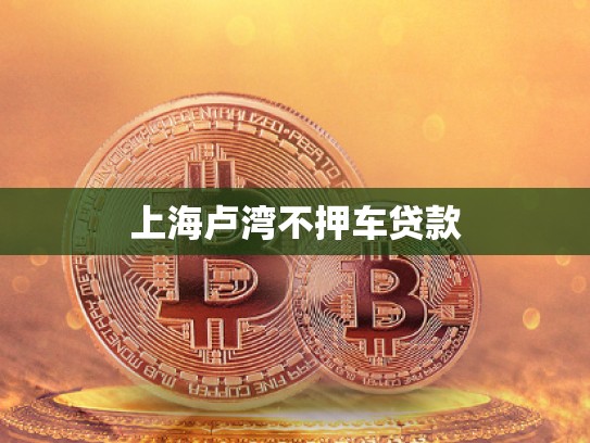 上海卢湾不押车贷款
