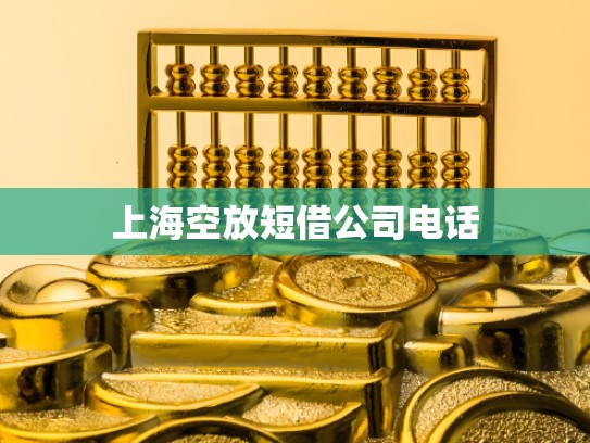 上海空放短借公司电话