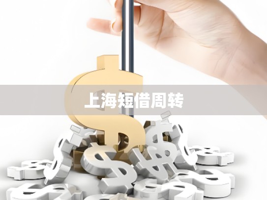 上海短借周转