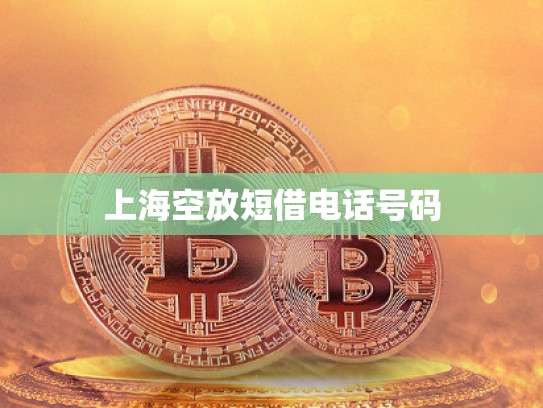 上海空放短借电话号码